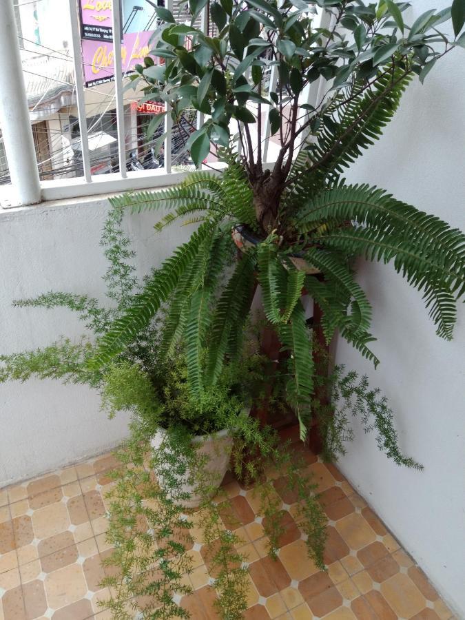 Da Lat 24H Guesthouse & Hotel Екстериор снимка